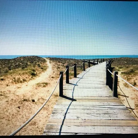 Palmeira Gale * אלבופיירה