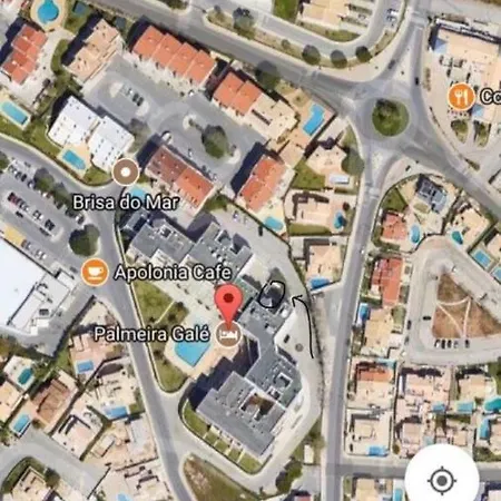 Palmeira Gale אלבופיירה