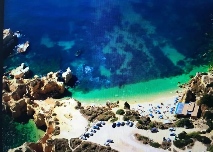 アパート Palmeira Gale *