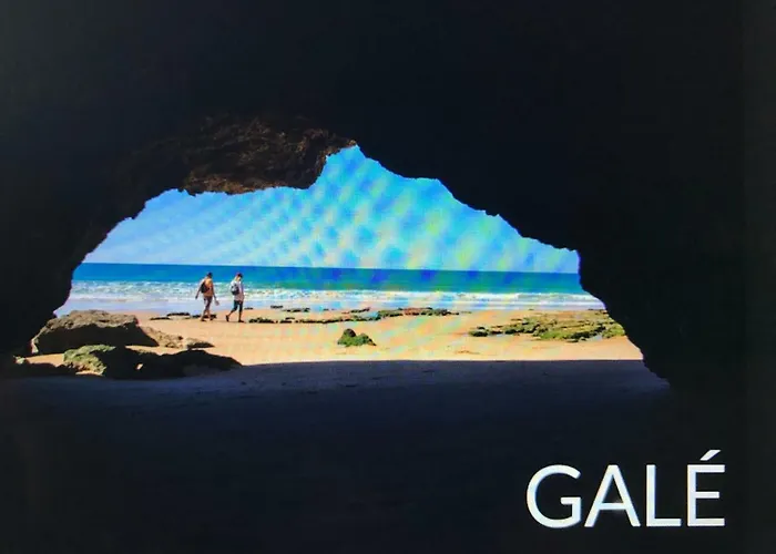 Palmeira Gale アパート アルブフェイラ