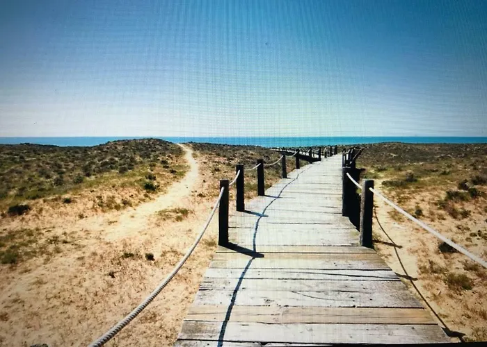 Palmeira Gale * アルブフェイラ